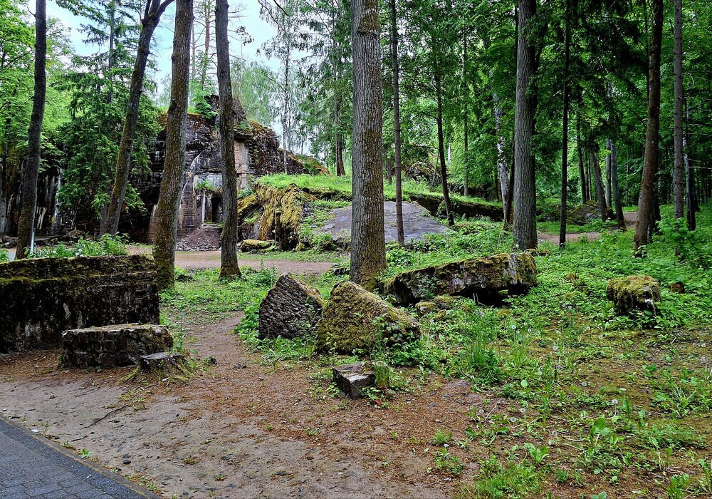 Wolfsschanze Hauptquartier Hitlers und des Oberkommandos der Wehrmacht im Wald von Gierłoż. Foto: Bybbisch94 CC BY-SA 4.0