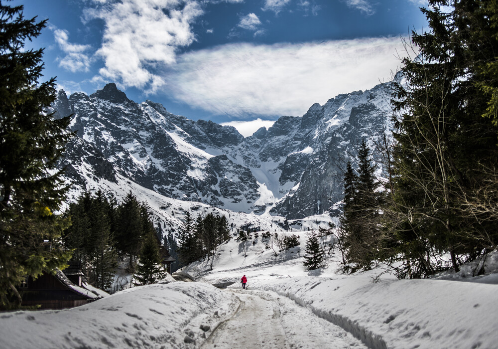 Panorama der Tatra-Berge