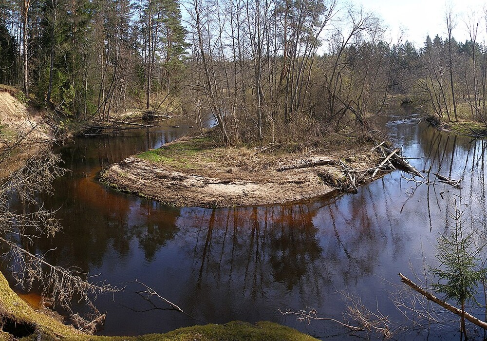 Der Fluss Valgejõgi Hannu 