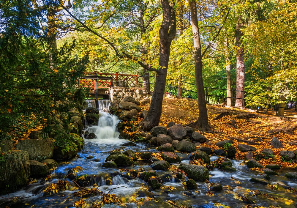  Oliva Park in Danzig